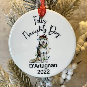 A christmas ornament with the name of feliz naughty dog.